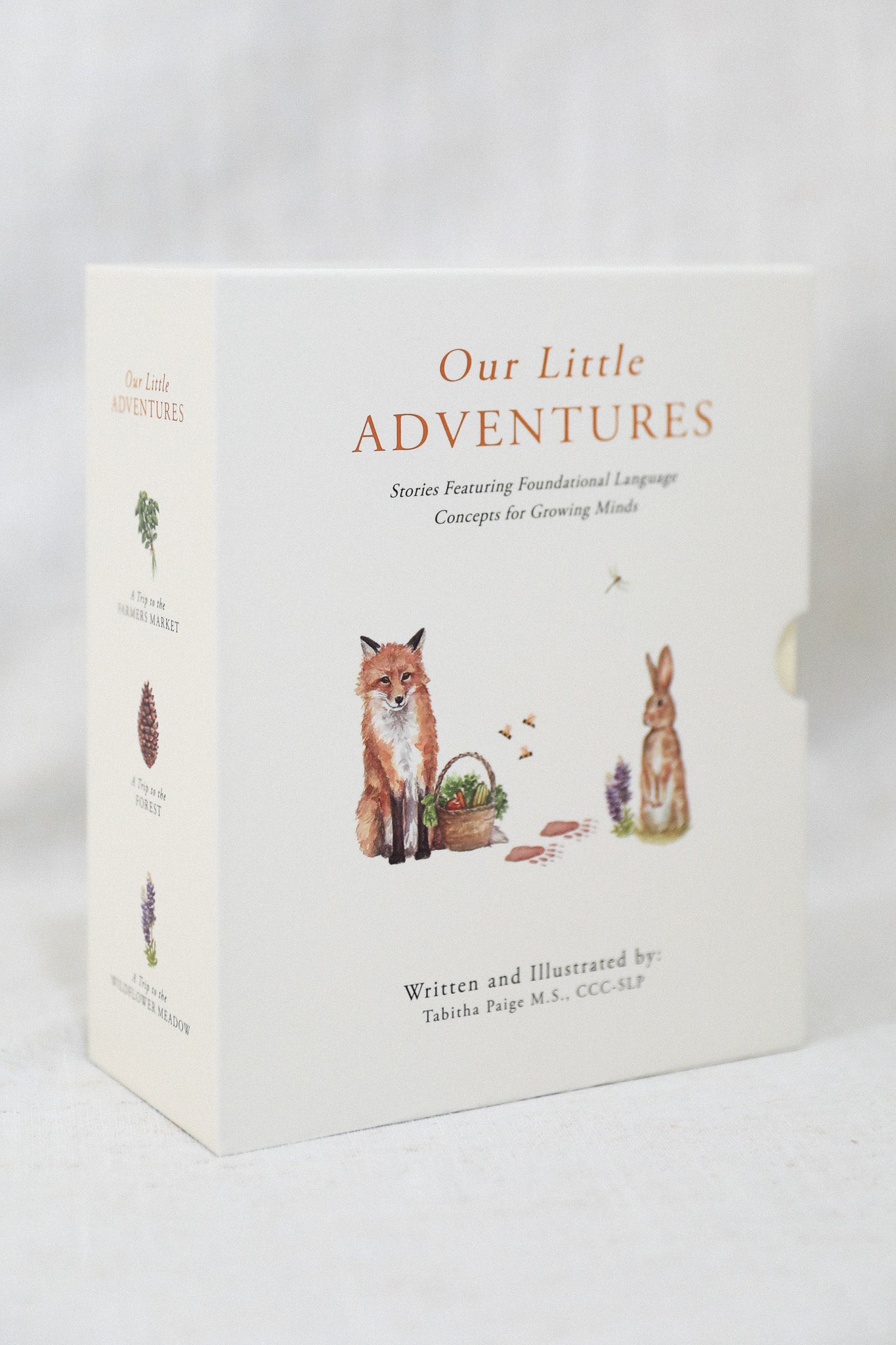 OUR LITTLE ADVENTURES BOOK BOX SET The Moon Market