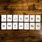 NORTH SHORE PLAYING CARDS