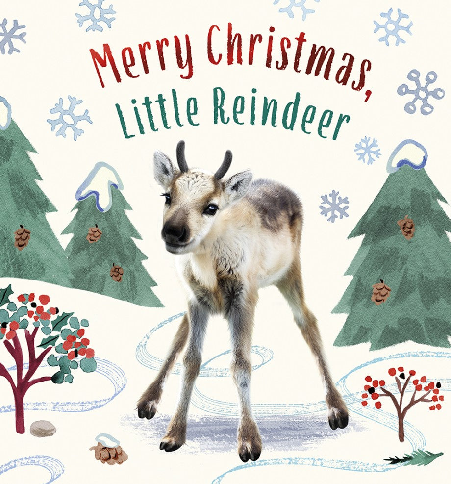 MERRY CHRISTMAS LITTLE REINDEER BOOK