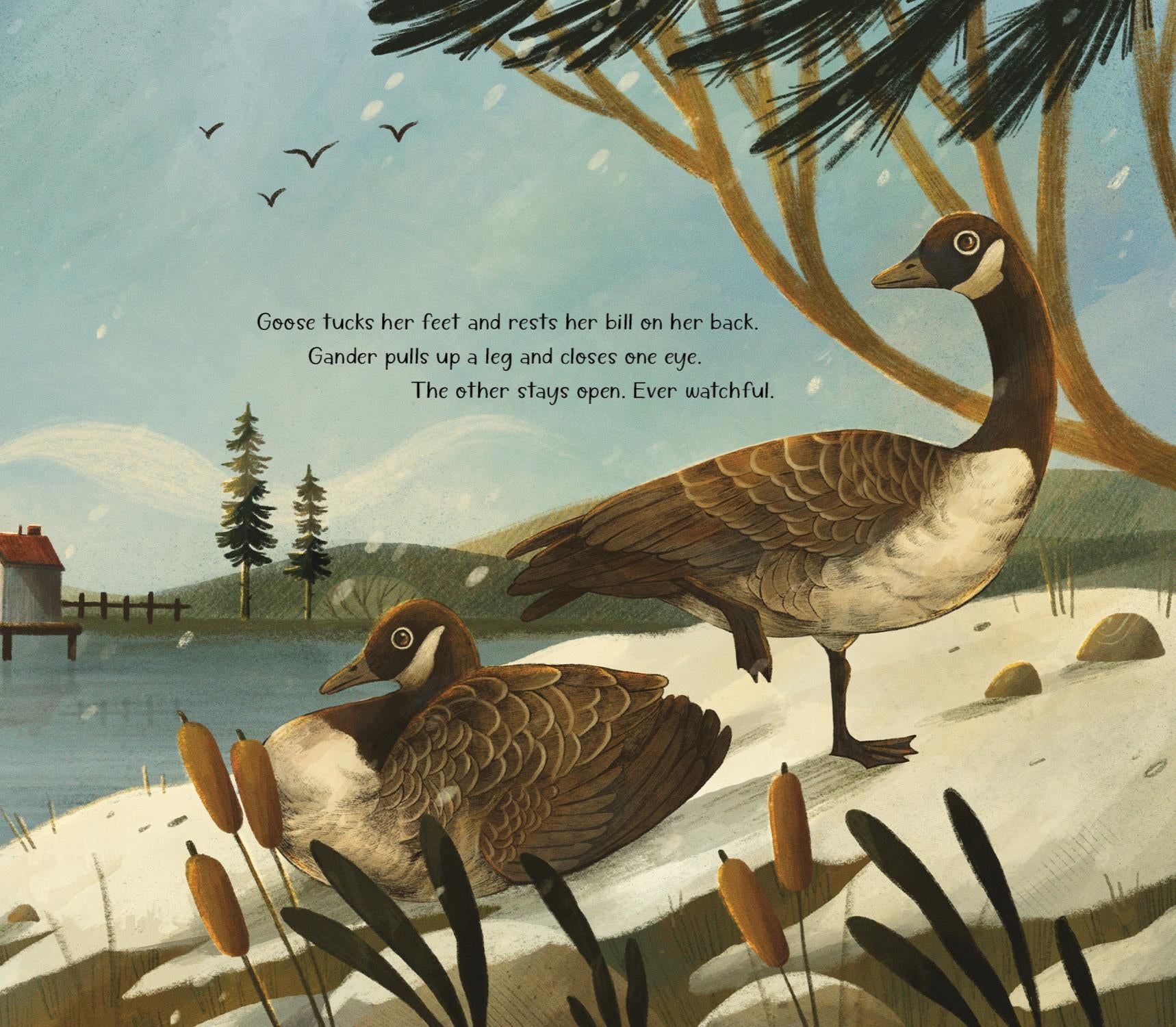 GOOSE EGG ISLAND BOOK