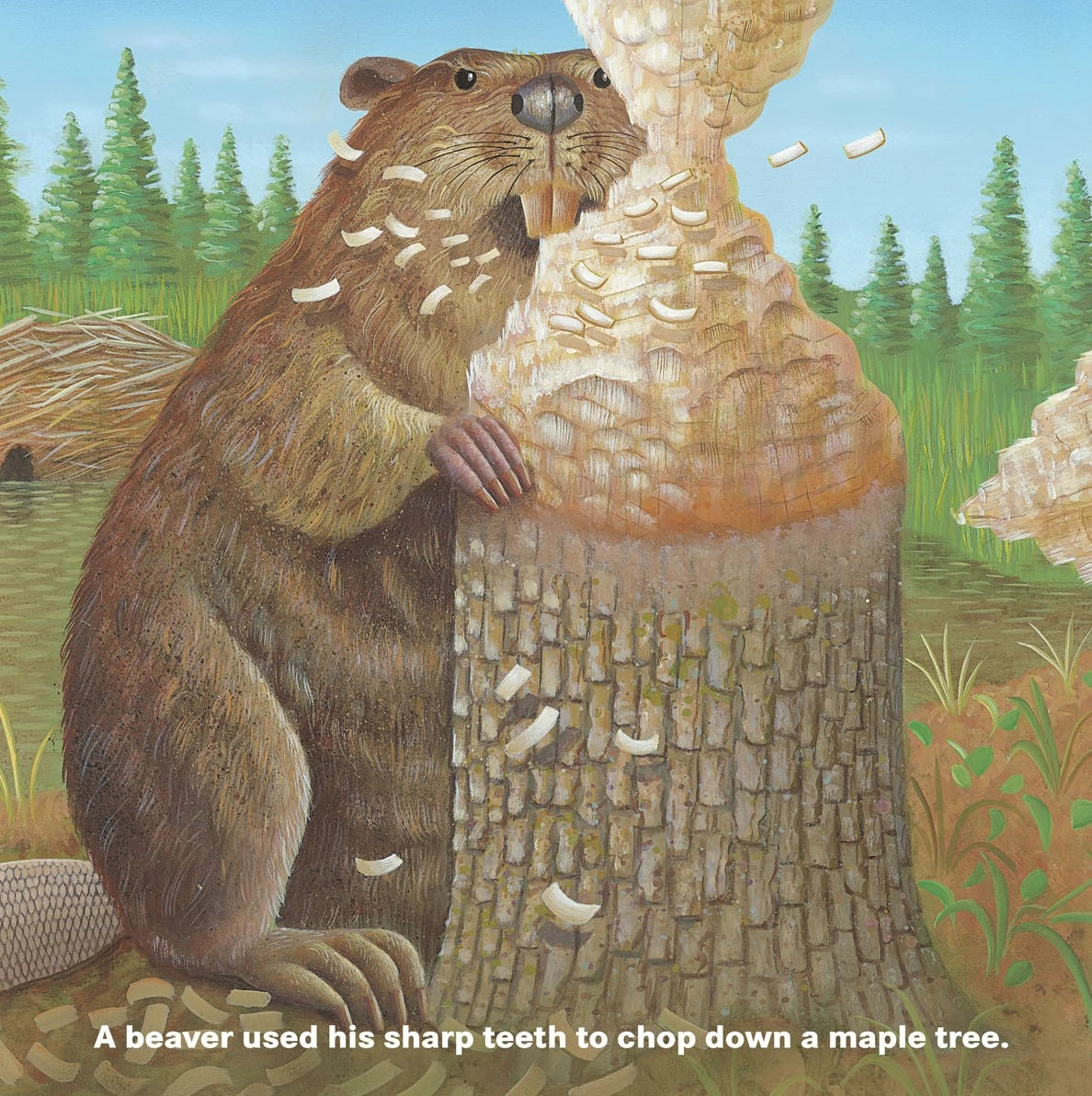 WHO WILL PLANT A TREE BOOK