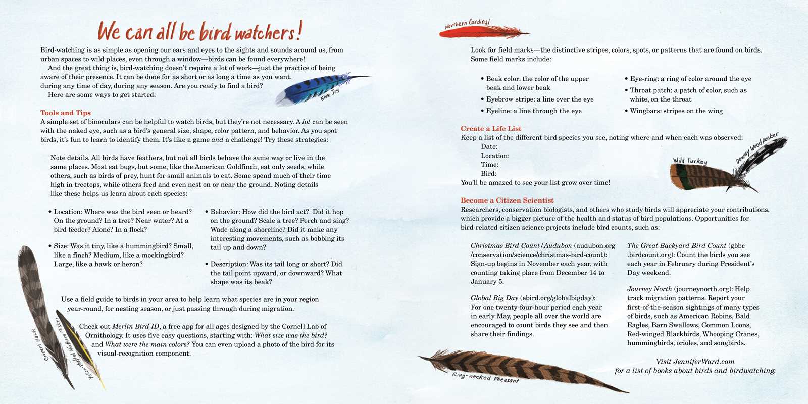 HOW TO FIND A BIRD - CHILDREN'S BOOK