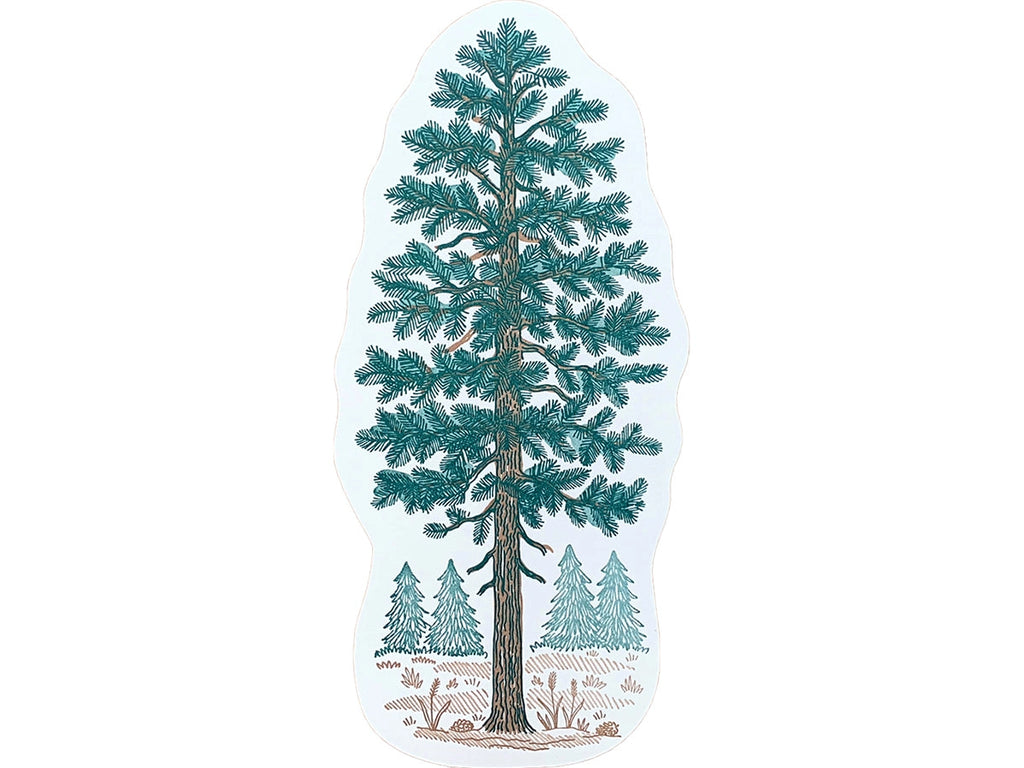 NOTEWORTHY POSTCARDS- PINE TREE
