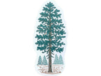 NOTEWORTHY POSTCARDS- PINE TREE
