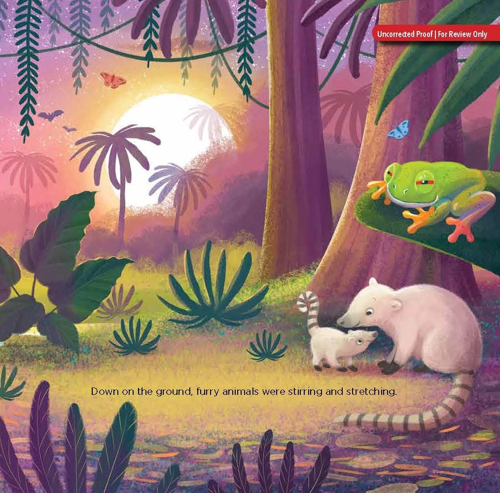 BABY BAT BEDTIME BOOK