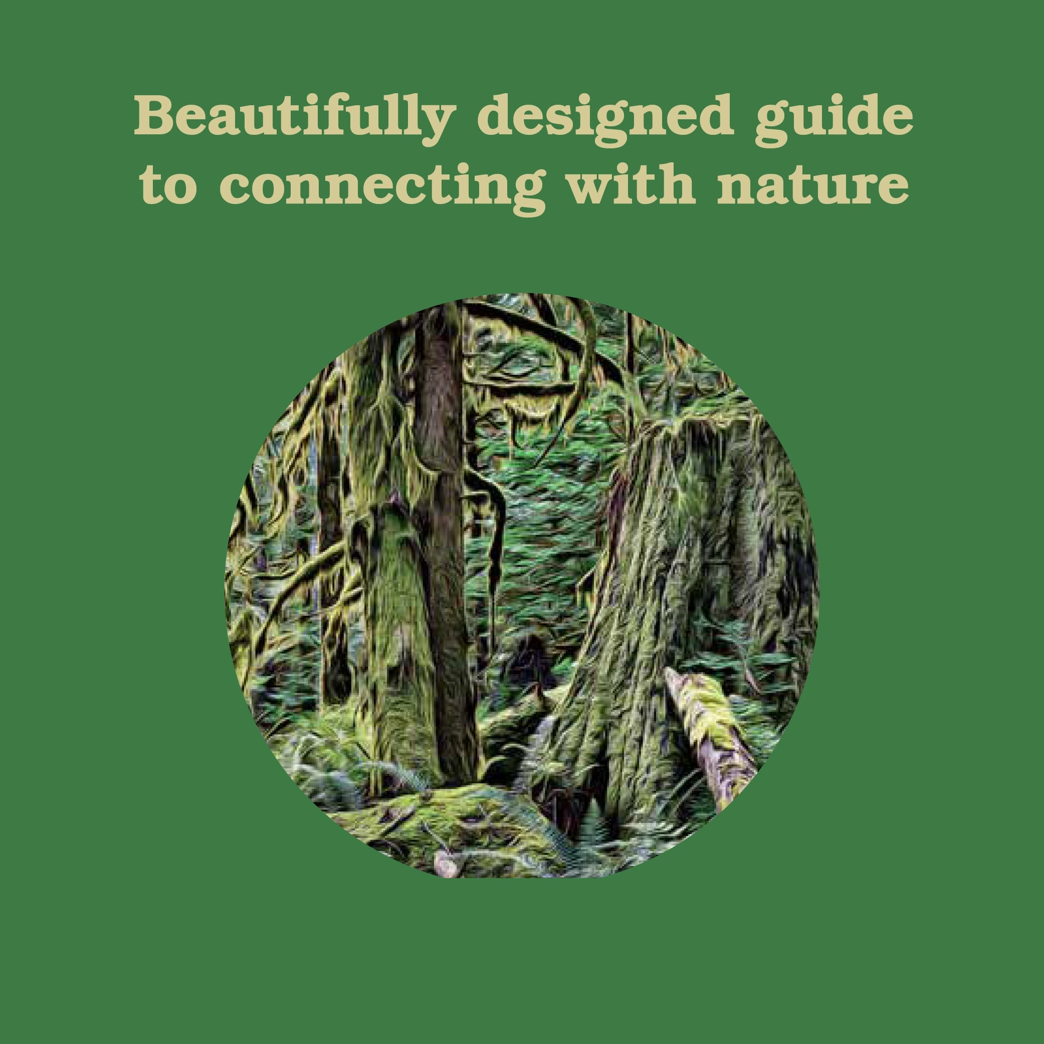 FOREST SCHOOL FOR GROWN UPS