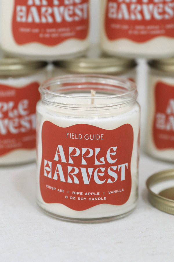 APPLE HARVEST CANDLE