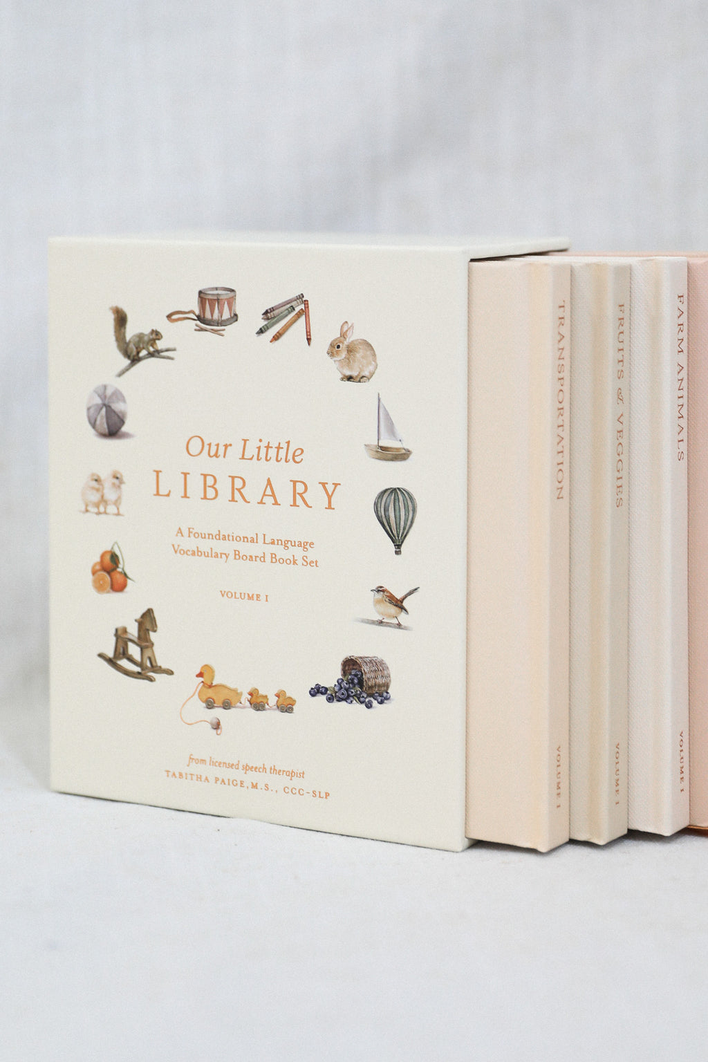 OUR LITTLE LIBRARY BOOK BOX SET