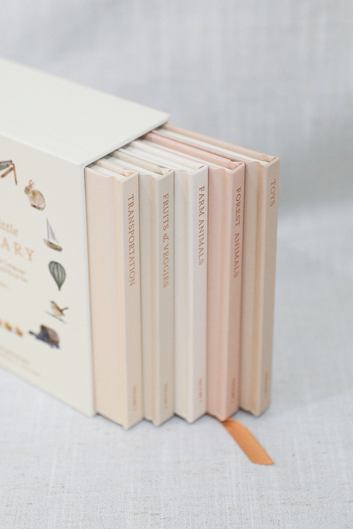 OUR LITTLE LIBRARY BOOK BOX SET