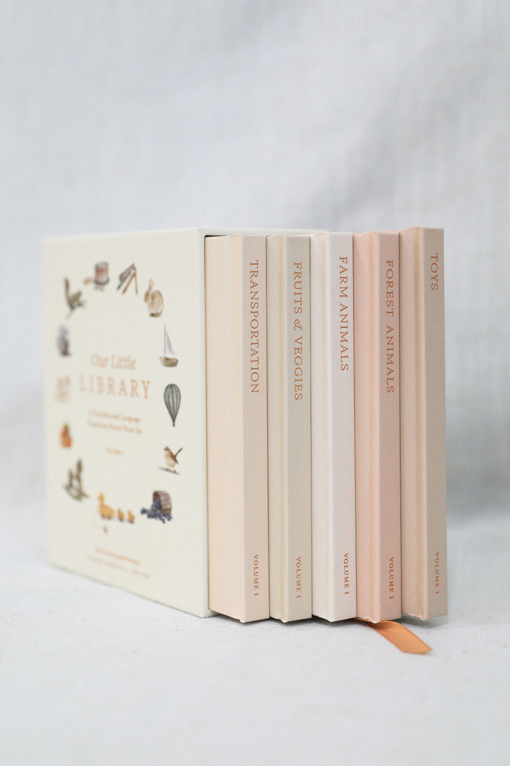 OUR LITTLE LIBRARY BOOK BOX SET