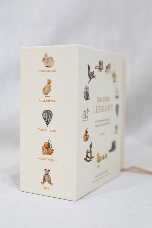 OUR LITTLE LIBRARY BOOK BOX SET