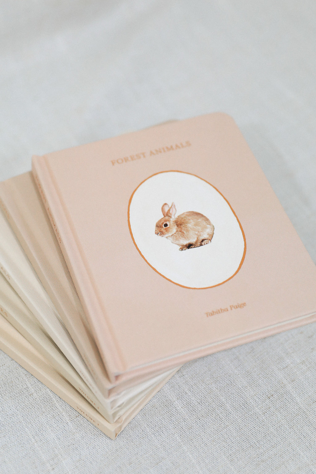 OUR LITTLE LIBRARY BOOK BOX SET