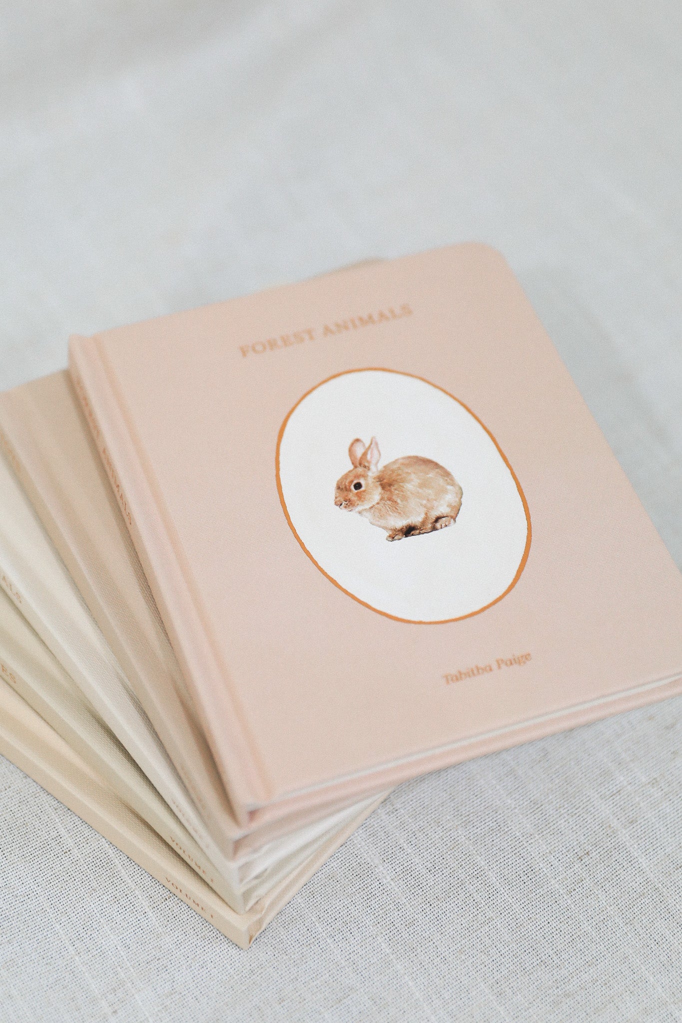 OUR LITTLE LIBRARY BOOK BOX SET