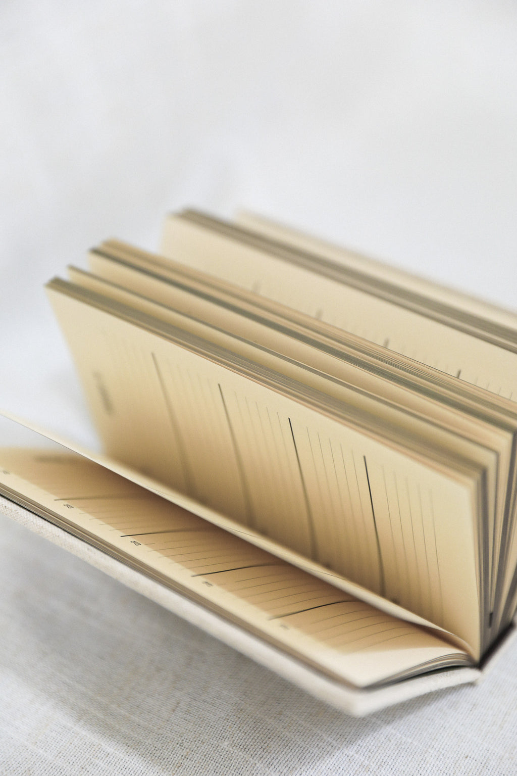 ONE LINE A DAY MEMORY BOOK