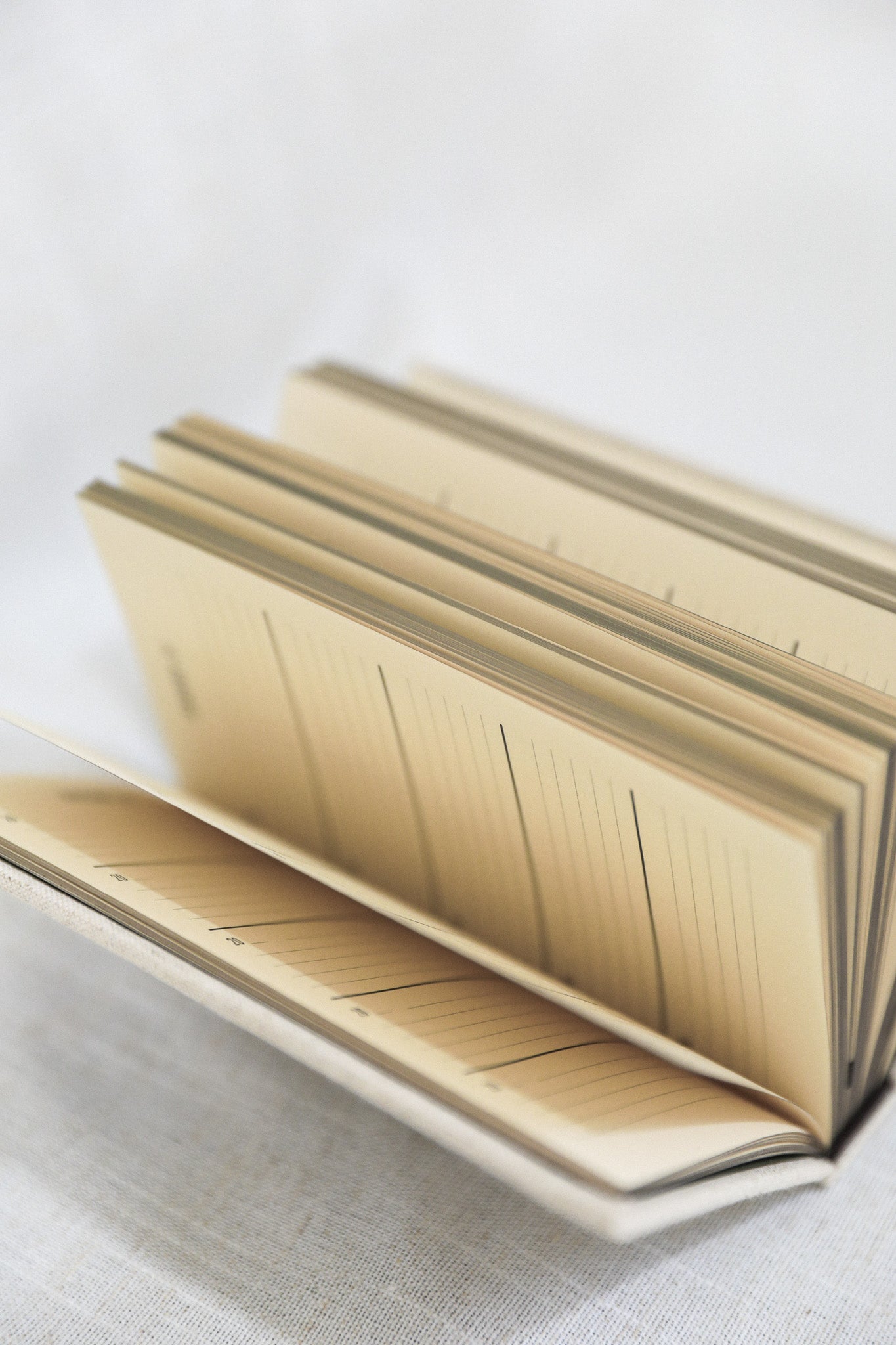 ONE LINE A DAY MEMORY BOOK