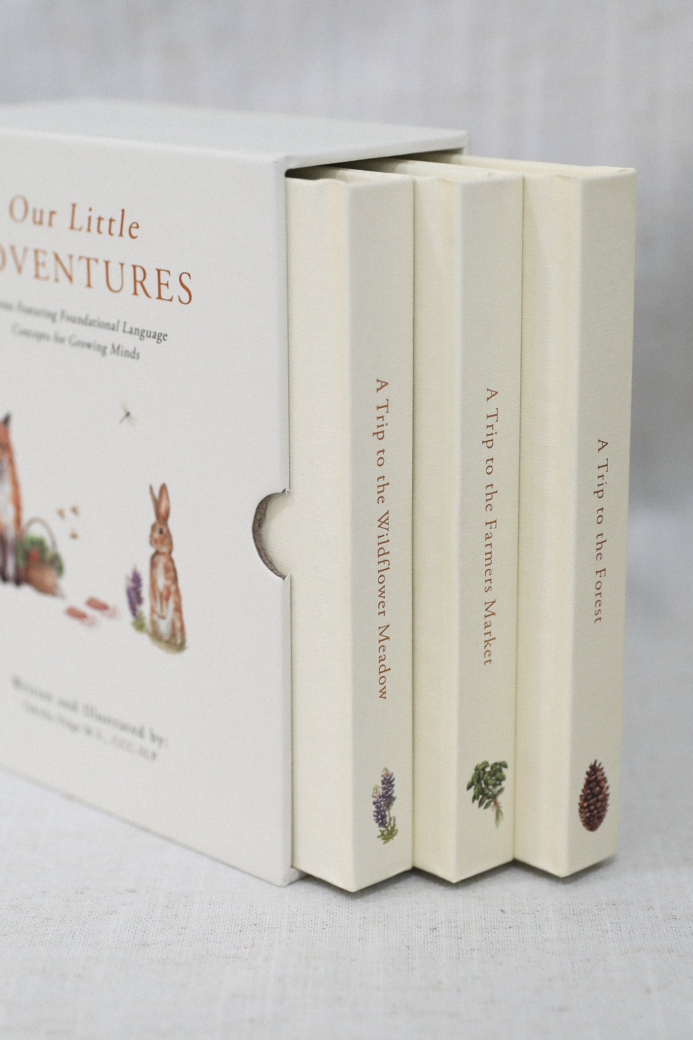 OUR LITTLE ADVENTURES BOOK BOX SET