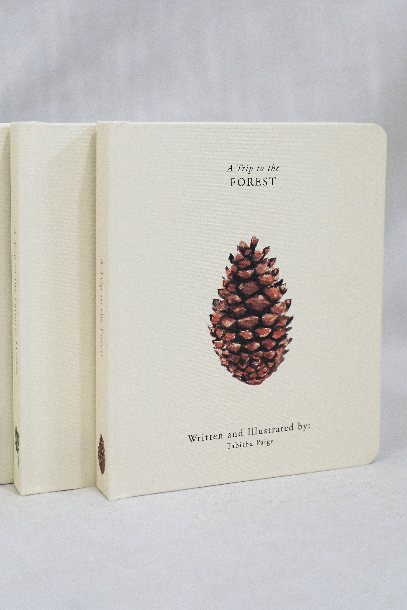 OUR LITTLE ADVENTURES BOOK BOX SET