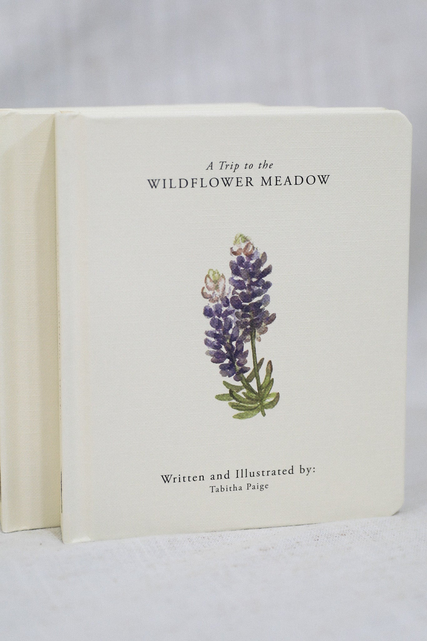 OUR LITTLE ADVENTURES BOOK BOX SET