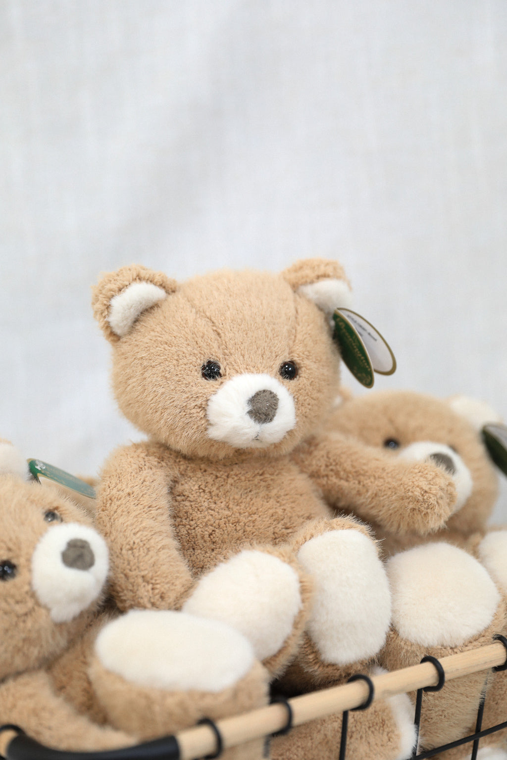 BUSTER THE BEAR
