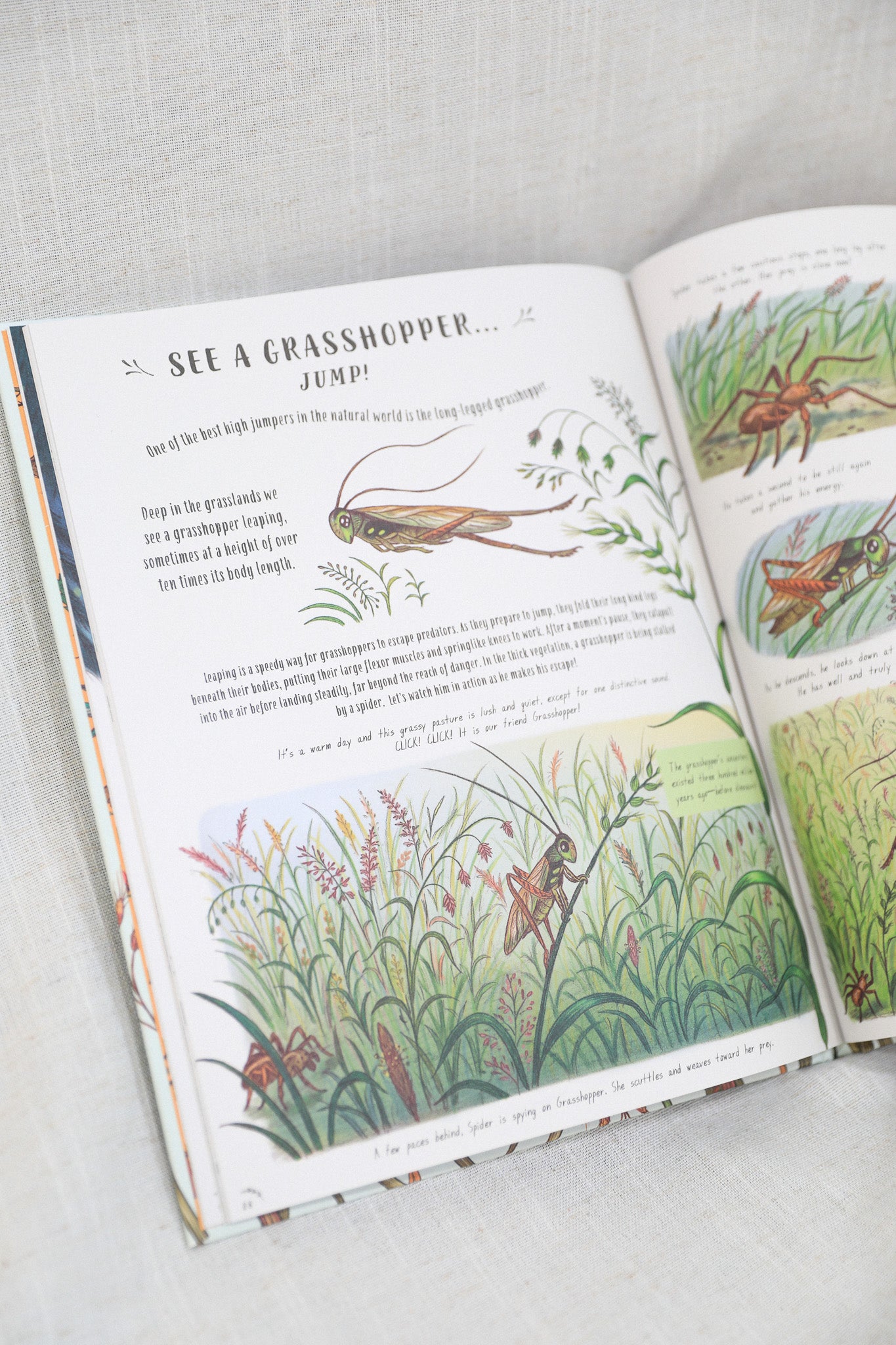 SLOW DOWN AND BE HERE NOW BOOK