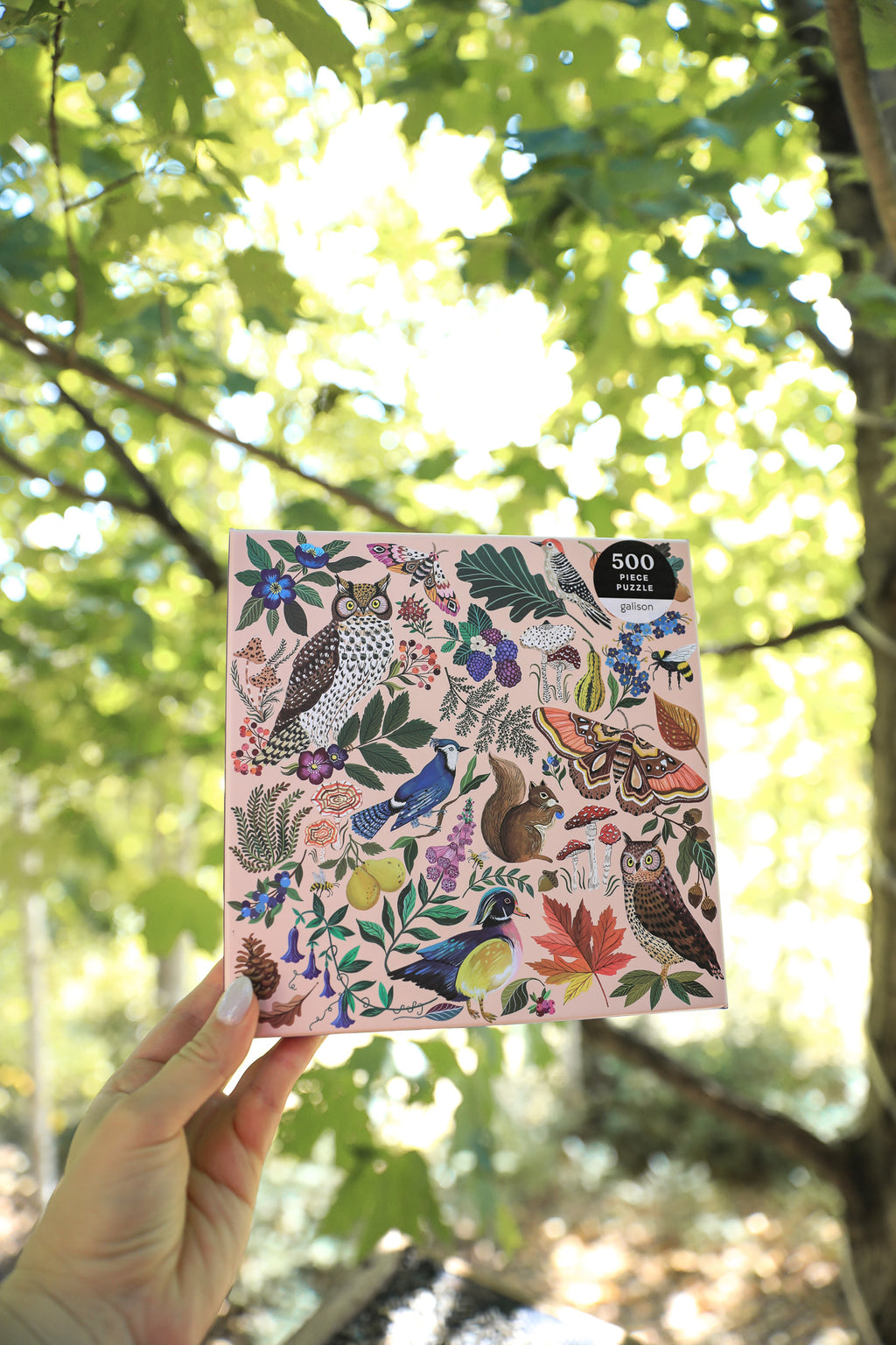 NATURE IN AUTUMN PUZZLE (500 PCS.)