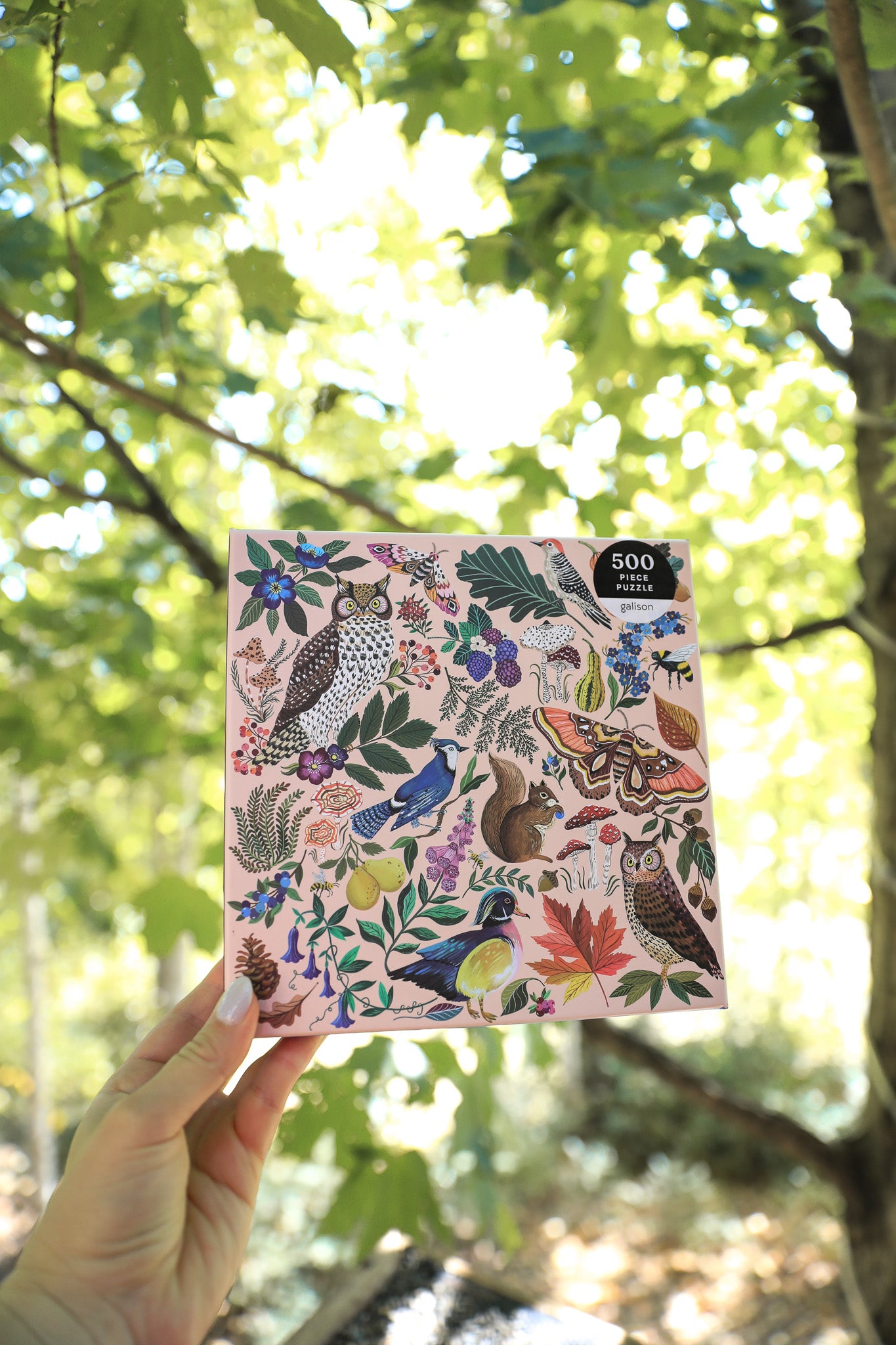 NATURE IN AUTUMN PUZZLE (500 PCS.)