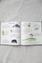 HUSH A BYE NIGHT LAKE SUPERIOR