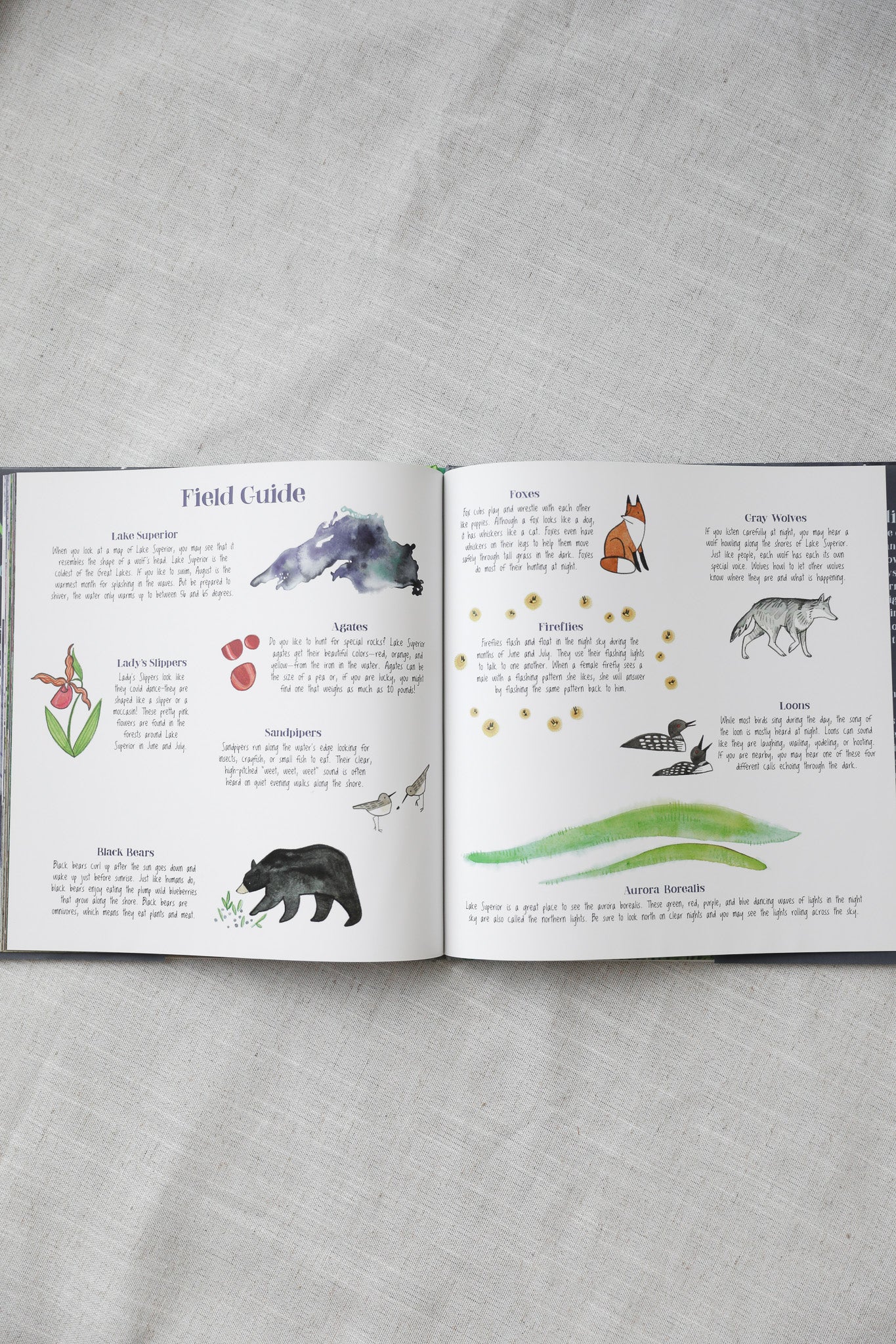 HUSH A BYE NIGHT LAKE SUPERIOR