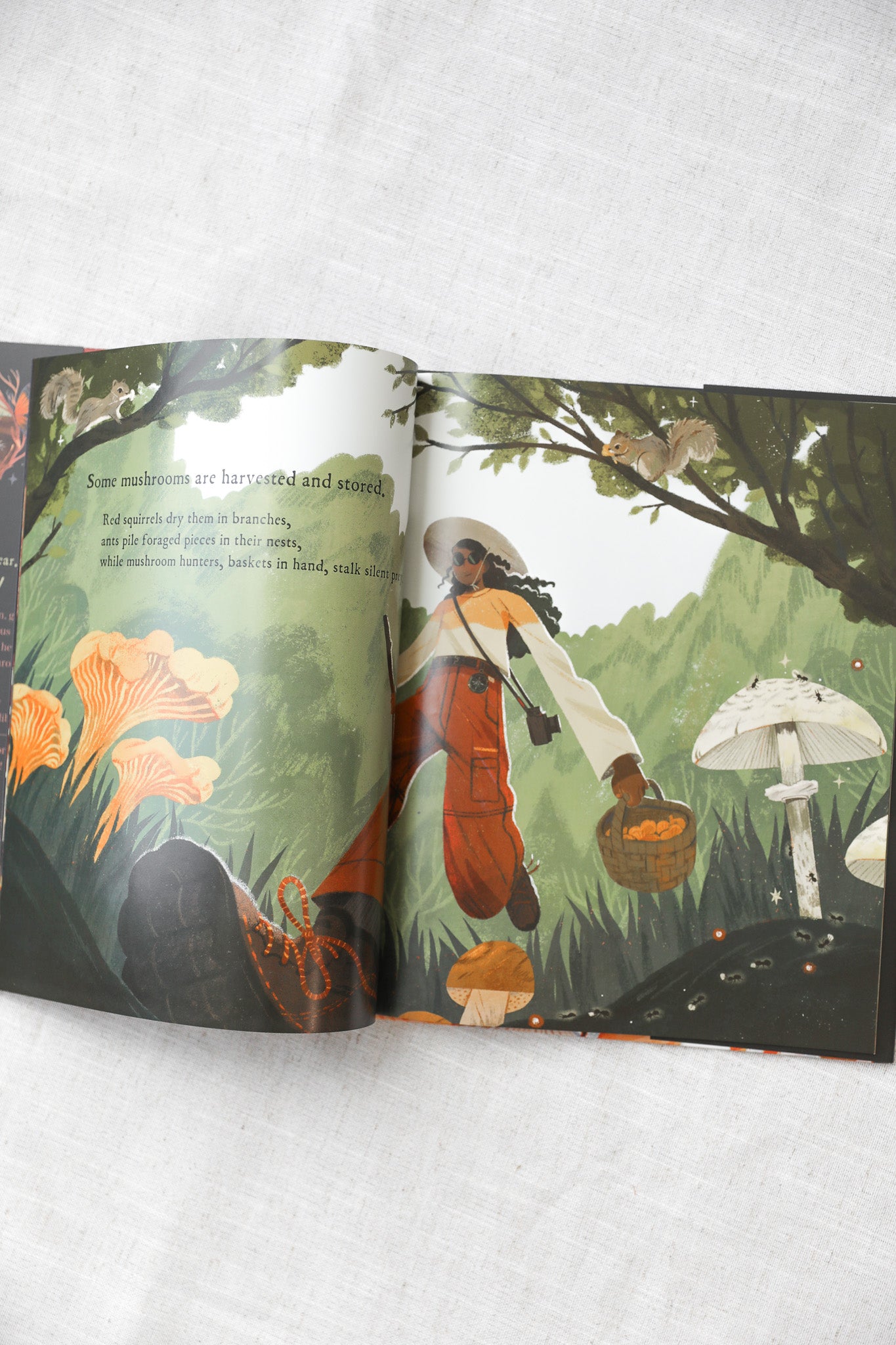 MUSHROOM RAIN BOOK