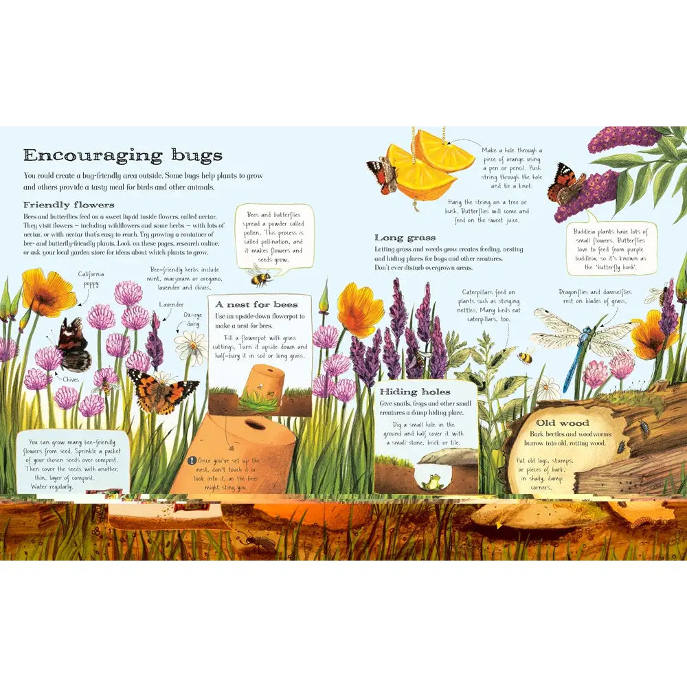 THE USBORNE OUTDOOR BOOK
