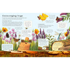 THE USBORNE OUTDOOR BOOK