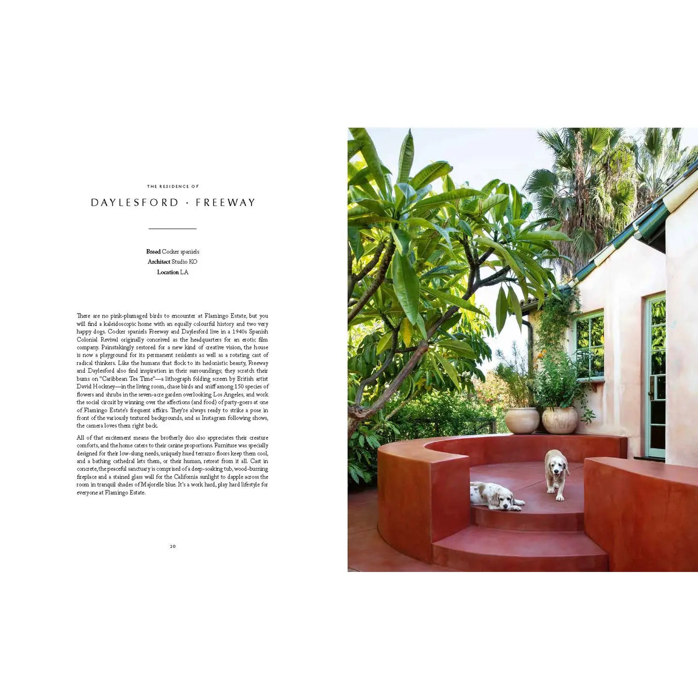 RESIDENT DOG BOOK (VOL.2)