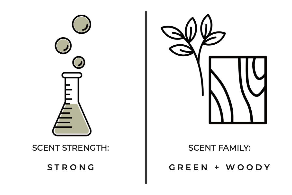 FIR NEEDLE SOY CANDLE