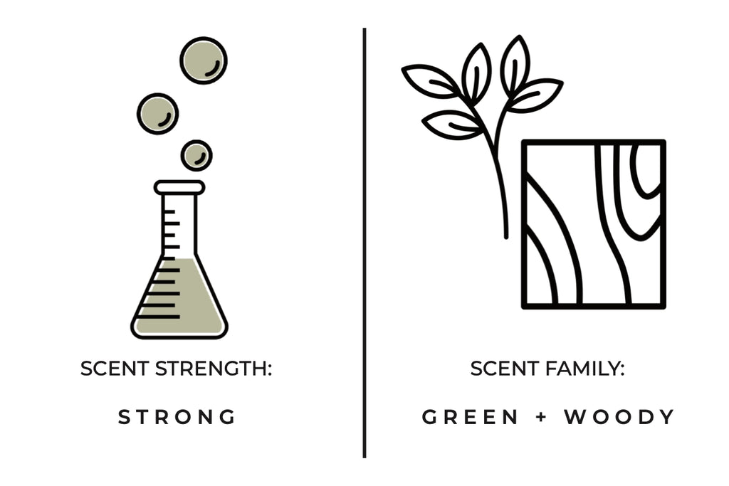 FIR NEEDLE MINI SOY CANDLE