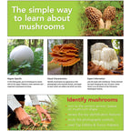 MUSHROOMS OF THE UPPER MIDWEST