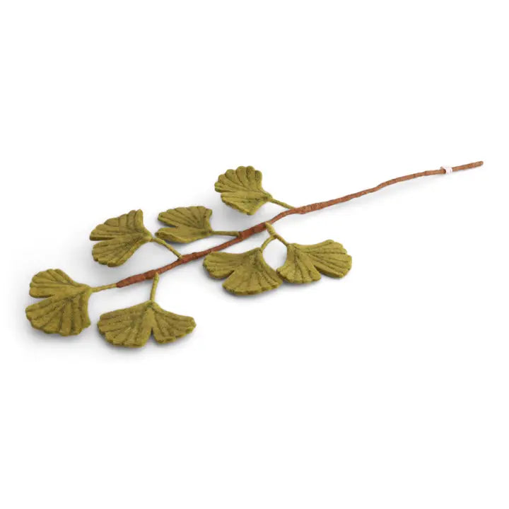 GINKGO BILOBA BRANCH