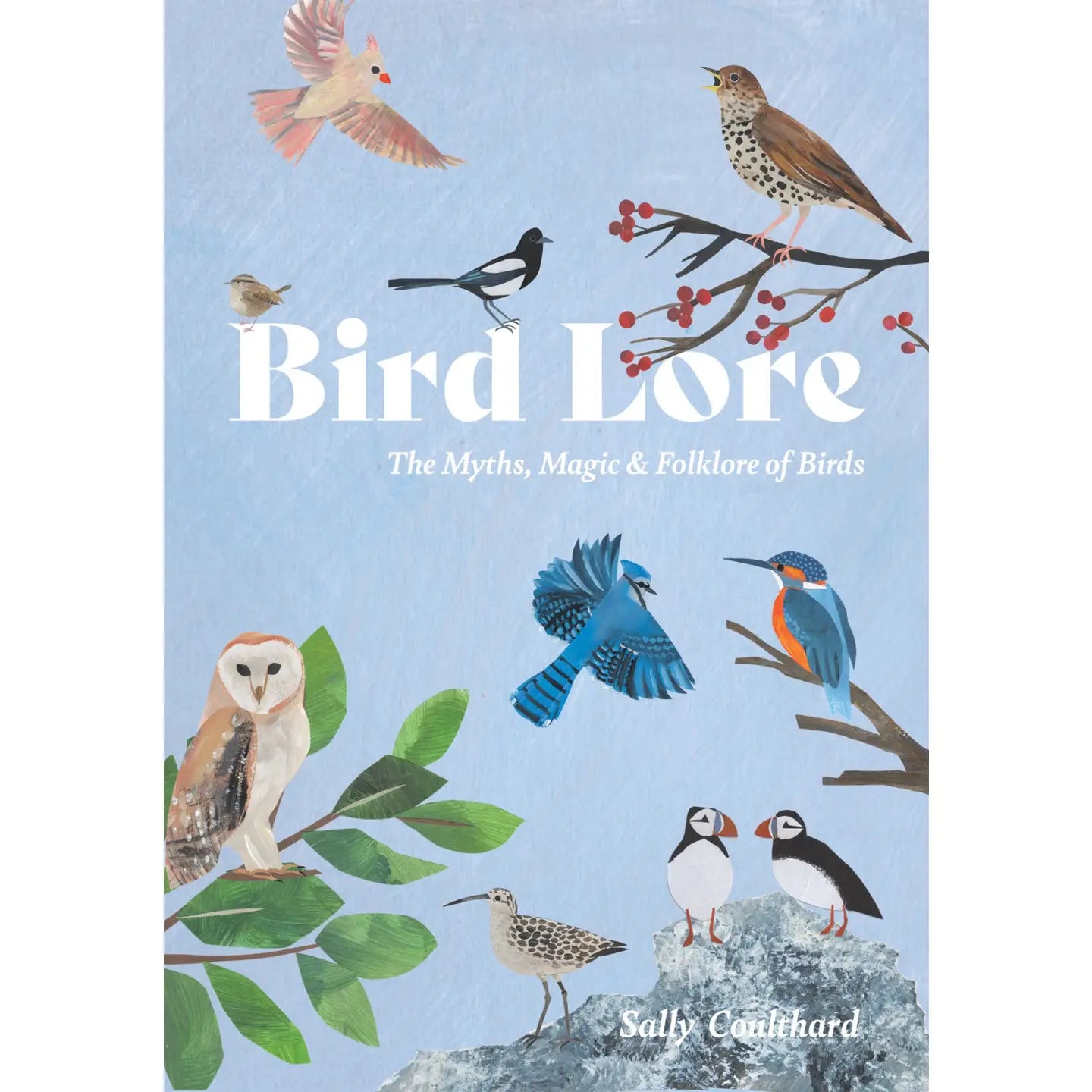 BIRD LORE BOOK