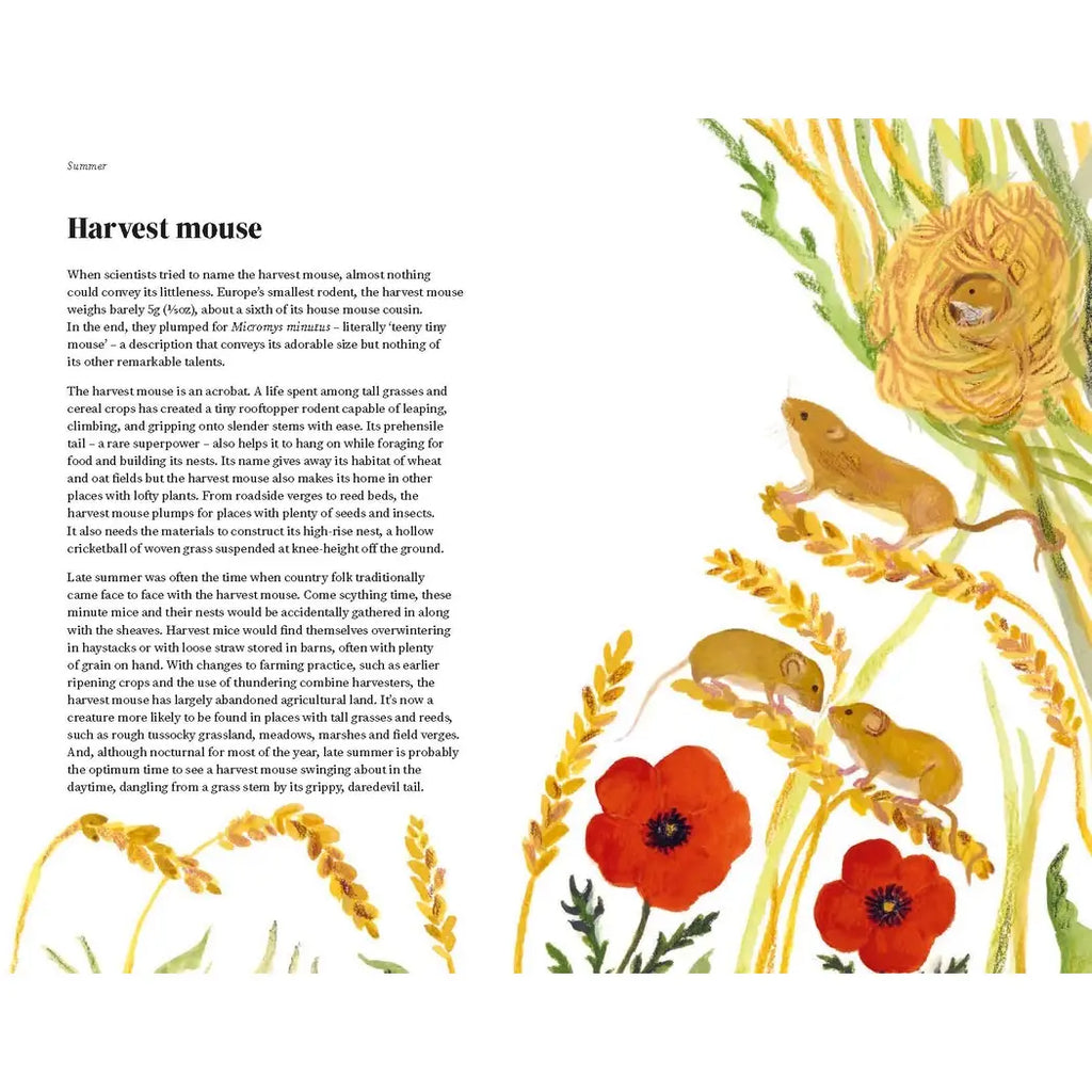WILDLIFE YEAR BOOK