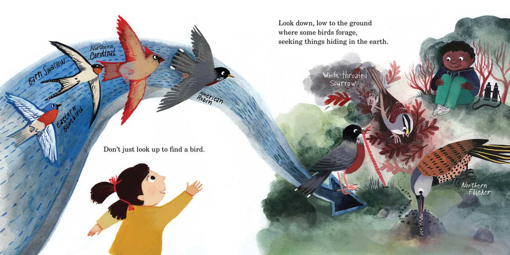 HOW TO FIND A BIRD - CHILDREN'S BOOK