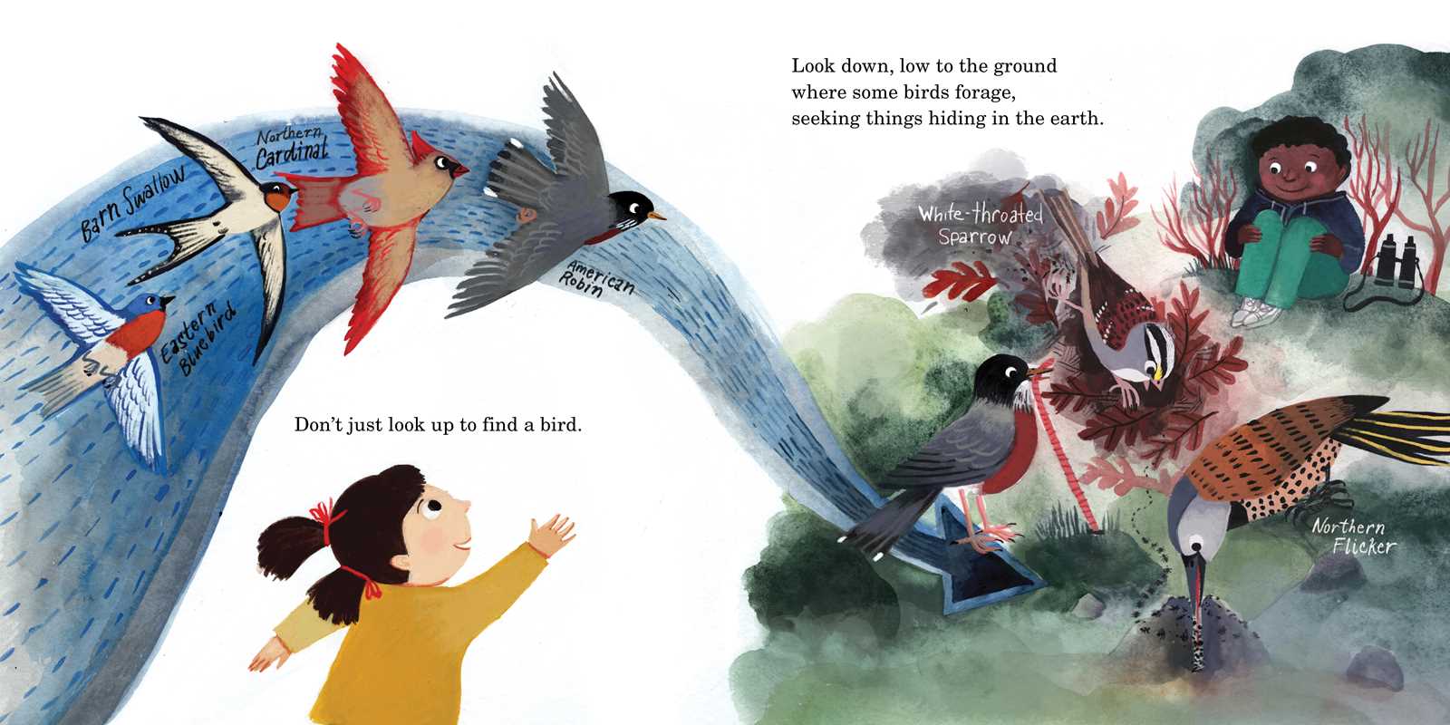 HOW TO FIND A BIRD - CHILDREN'S BOOK