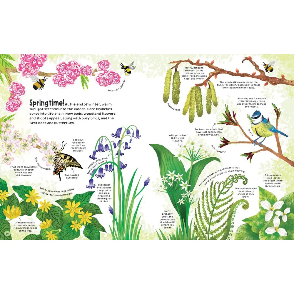 THE USBORNE WOODLAND BOOK