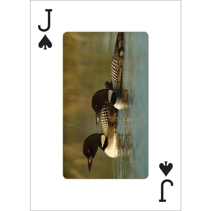 LOONS PLAYING CARDS