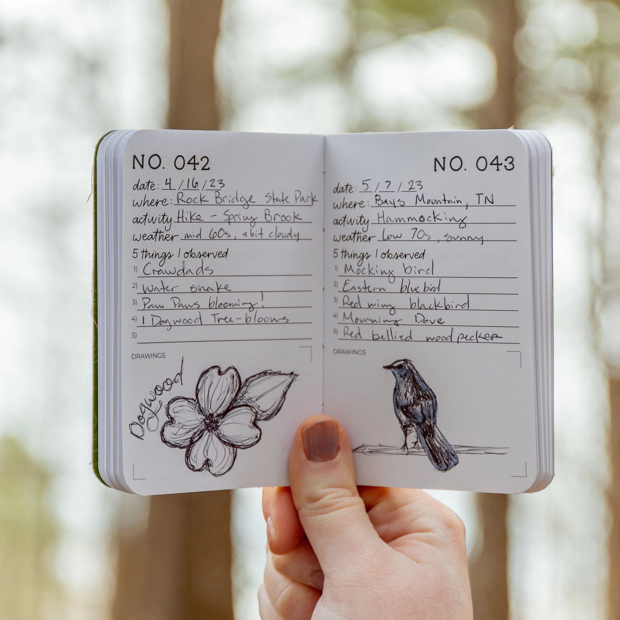 NATURE STUDIES JOURNAL