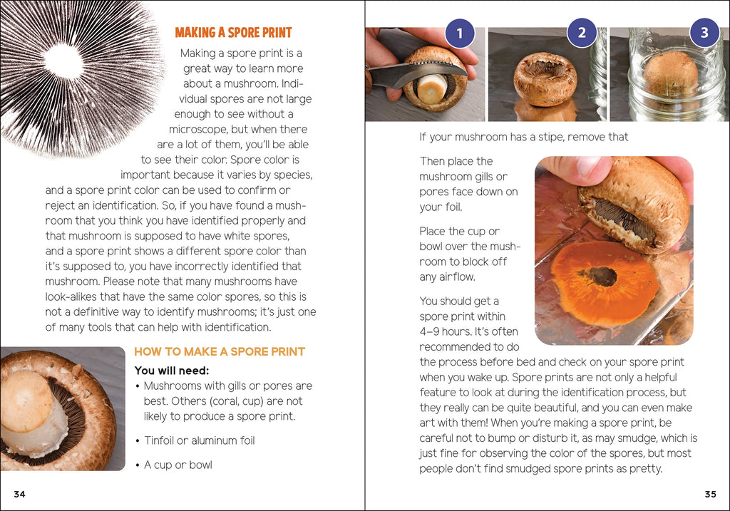 MUSHROOMS + FUNGI FOR KIDS