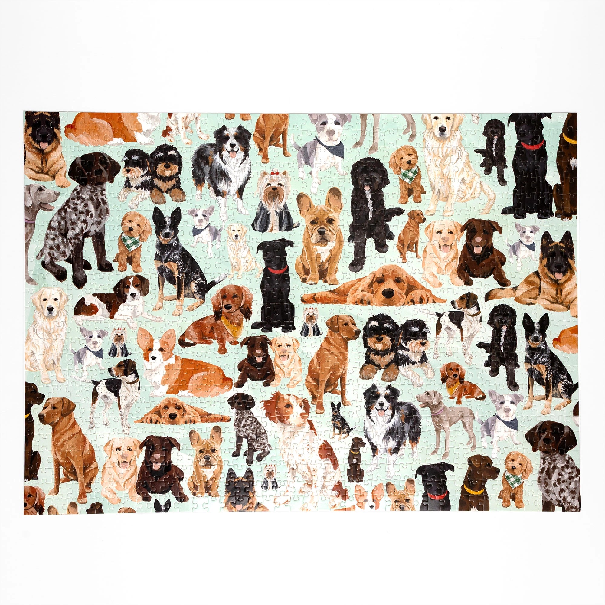 FURRY FRIENDS (DOG) - 1,000 PIECE PUZZLE