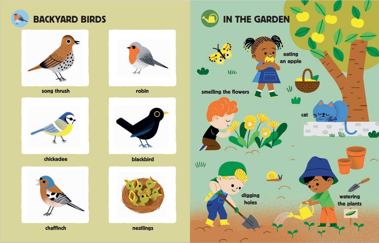 MY BIG BOOK OF NATURE SOUNDS - CHILDREN'S BOOK