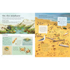 THE USBORNE OUTDOOR BOOK