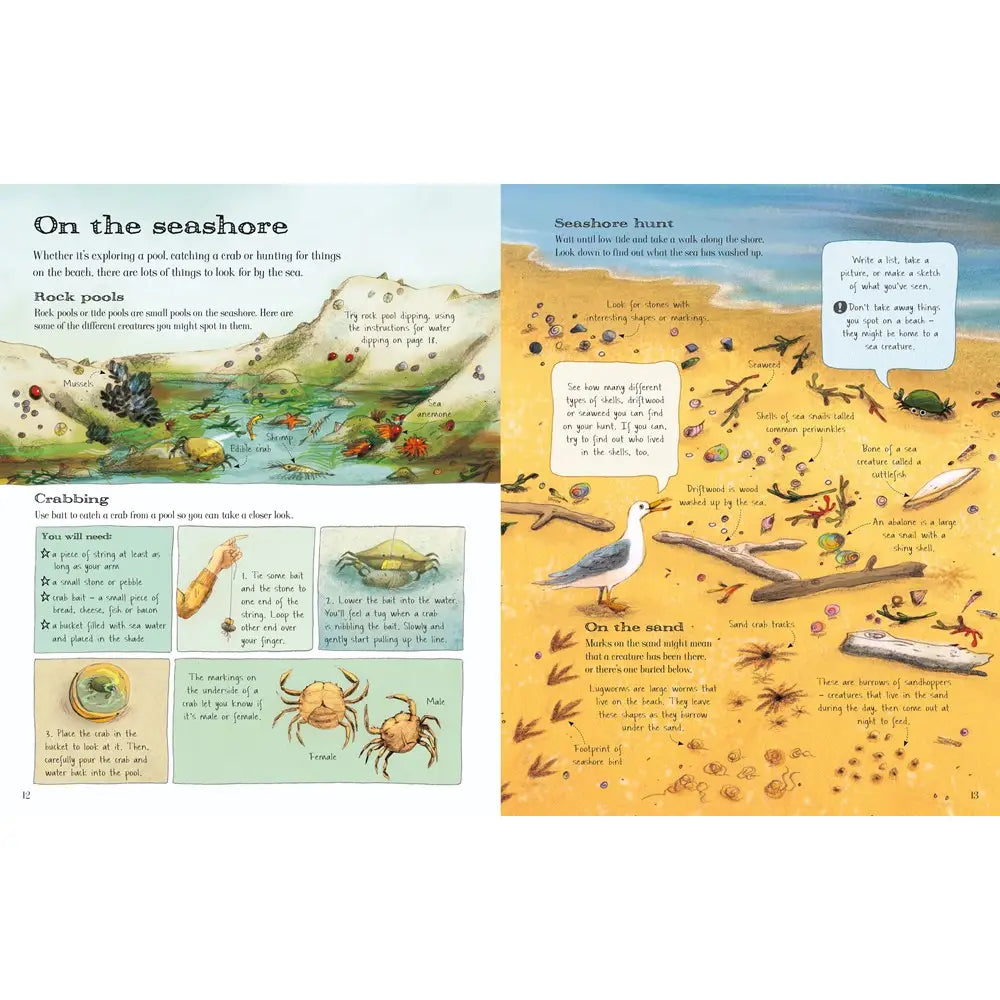 THE USBORNE OUTDOOR BOOK