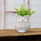 OWL CEMENT PLANTER