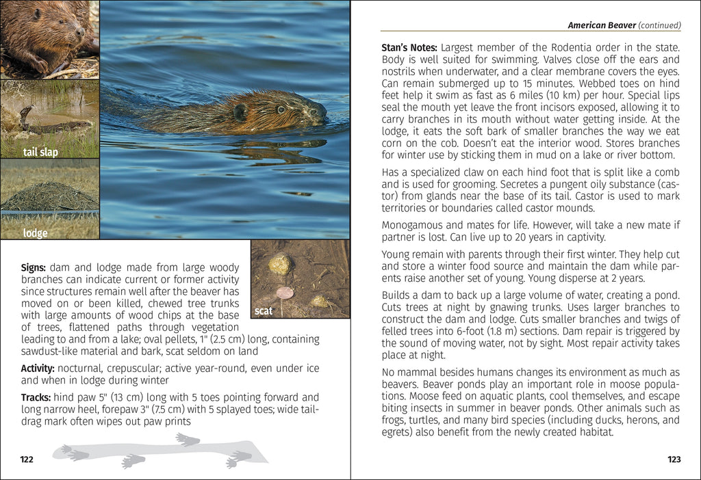MAMMALS OF MN FIELD GUIDE